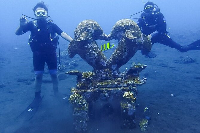 Bali Full Day Experience Scuba Diving Tour at Tulamben - Reviews and Feedback