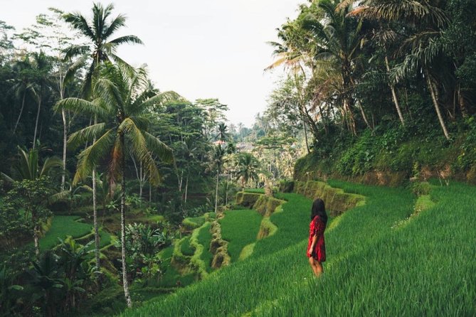 Bali Full-Day Sightseeing Trip With Lunch - Customer Reviews