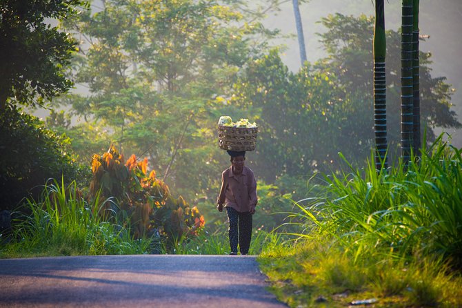 Bali Half Day Photography Tour - Reviews and Testimonials