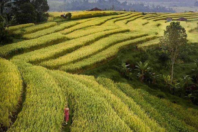 Bali Highlight Tours - Important Tour Information