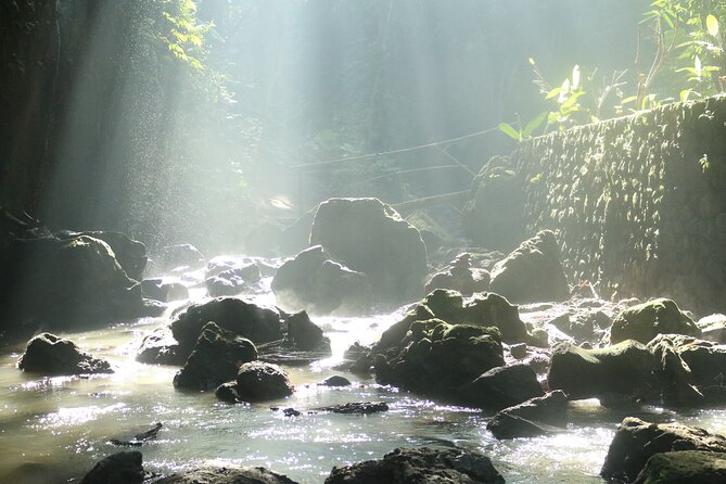 Bali Private Full Day Tour to Visit the Best Waterfalls and Swing Near Ubud - Popular Waterfalls to Visit