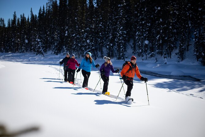 Banff, Lake Louise & Johnston Canyon | Winter Wonderland Tour - Accessibility and Age Restrictions