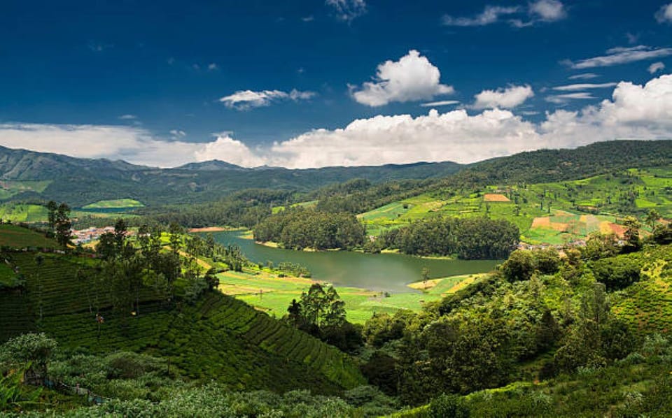 Bangalore, Mysore With Ooty Tour (05 Nights / 06 Days) - Transportation and Pickup