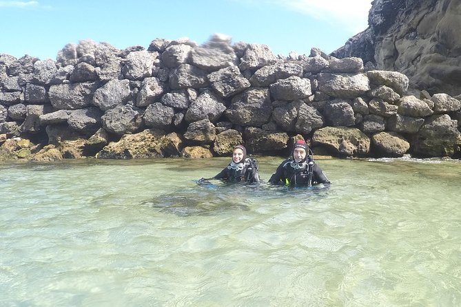 Baptism of Diving in the Natural Park of the Strait - Marine Life and Underwater Ecosystems