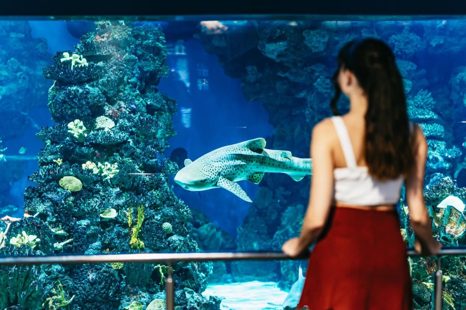 Barcelona Aquarium: Skip-the-Line Admission Ticket - Accessibility and Amenities