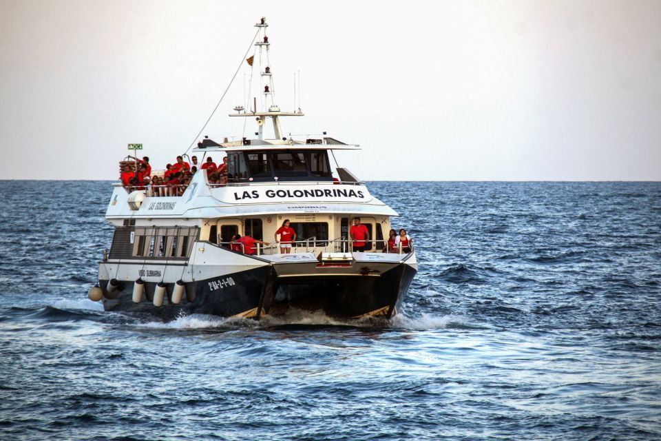 Barcelona: Boat Tour in Las Golondrinas - Accessibility Information