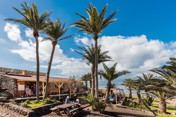 Basic Tour 2 - Quinta Do Lorde to Cais Do Sardinha and Return - Accessibility and Accommodations