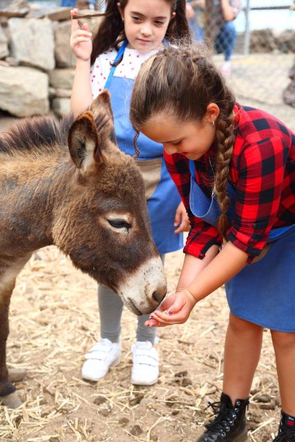 Be a Farmer for the Day at La Jaira De Ana - The Sum Up