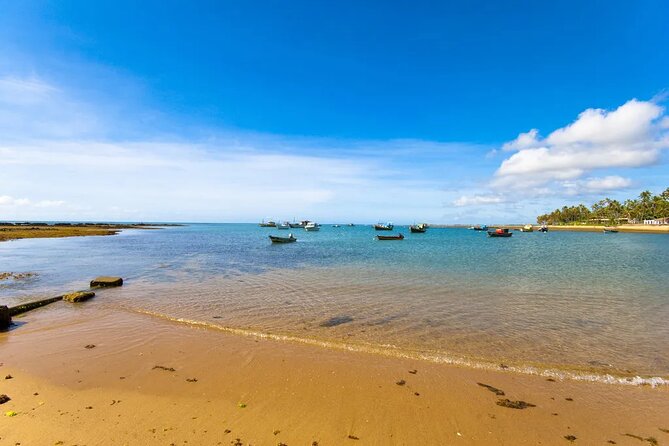 Beach Getaway - Praia Do Forte and Guarajuba - Guarajuba Beach Delights