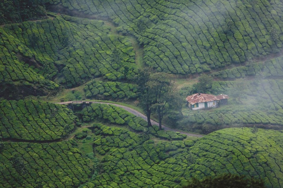 Beauty of Nature, Munnar Hill Station Tour (03 Days) - Inclusions