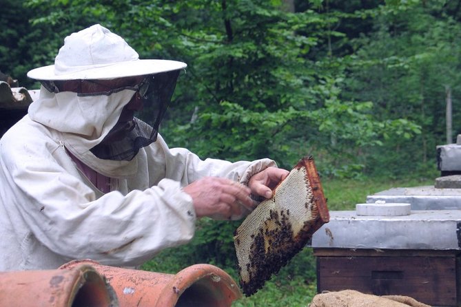 Beekeeping Day Trip| Private Guided Tour From Bucharest - Traditional Lunch