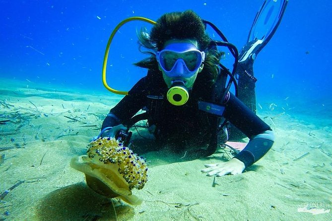 Beginner Diving Experience in Ligaria Bay - Group Size Limitation