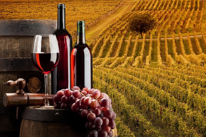 Bella Toscana Private Tour: 2 Chianti Wineries and San Gimignano From Livorno - Chianti Winery Visits
