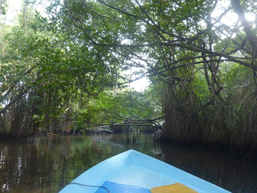 Bentota: Mangrove Lagoon and River Cruise - Booking Information