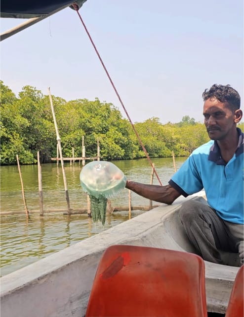 Bentota River Safari -Ahungalla/Bentota/Aluthgama/Kosgoda - Explore the Bentota Lagoon