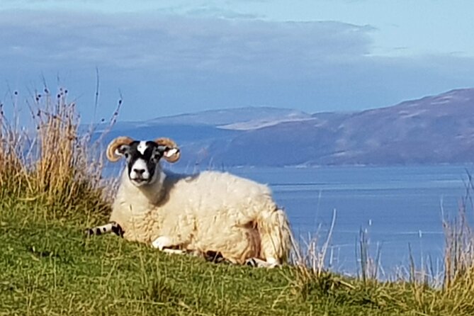 Bespoke Private Tours of Scotland and the Borders - Traveler Testimonials and Recommendations