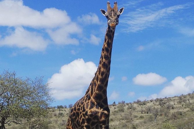 Best 3 Days Tanzania Shared Safari Tarangire Ngorororo Manyara - Cancellation Policy