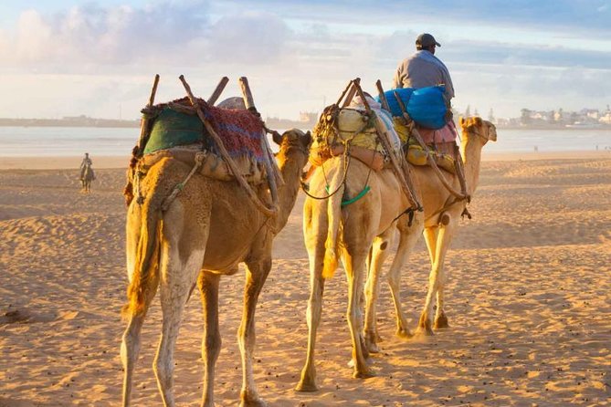 Best of Morocco Tour (15 Days) - Accessibility Features