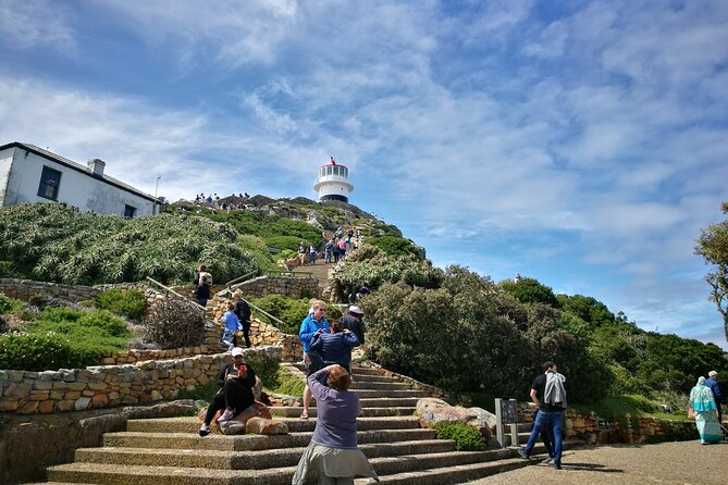 Best of the Cape Full Day Private Tour - Exploring the Cape Peninsula