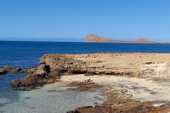 BEST VALUE Small Group Island Tour W/Shark Experience & Salt Lake - Accessibility Information
