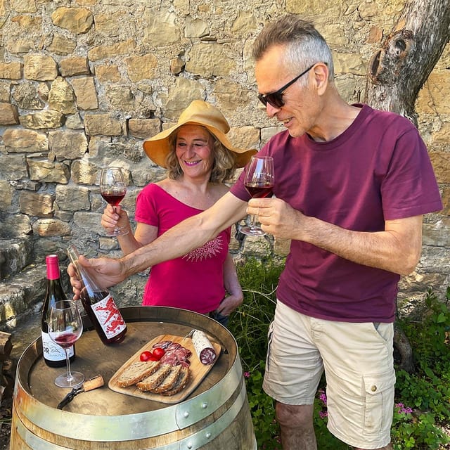 Béziers: Explore the Faugères Vineyards With a Picnic - Return to Béziers