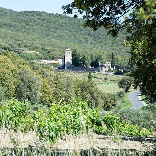 Béziers: Wine Tours & Wine Tasting - Wineries Visited