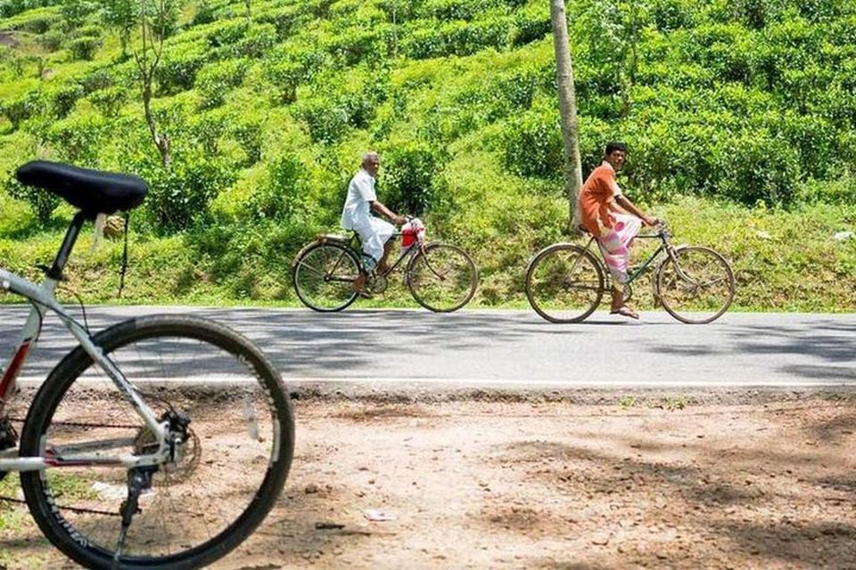 Bicycle Adventure:Ella to Demodara With Ninearch Bridge Tour - Participant Restrictions