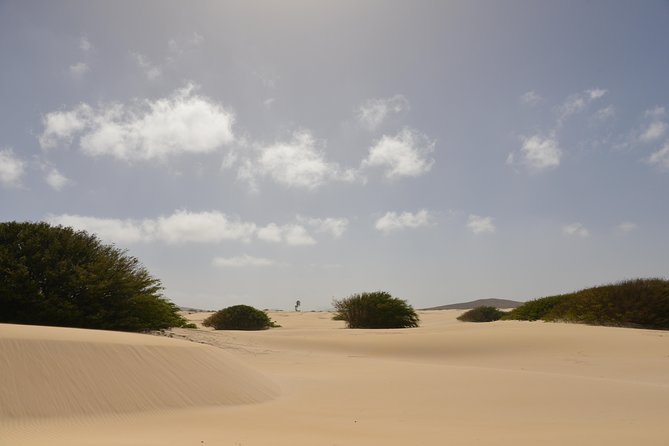 Big Boa Vista Exclusive Tour - Pricing and Cancellation Policy