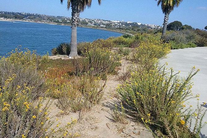 Bike Around San Diego Bay to the Ocean - Pricing Details