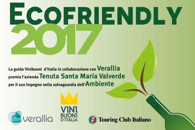 Bike Station Valpolicella: E-Bike Tour & Amarone Tasting - Culinary Delights