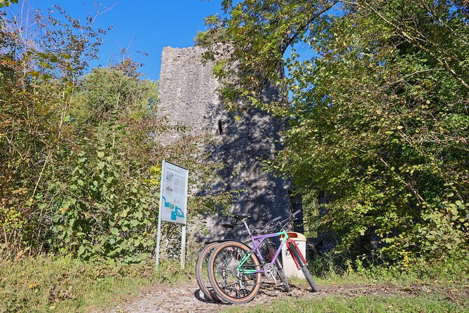 Bike Tour of the Interlaken Valley: Rivers, Lakes & Forests - Ideal for Families and Groups