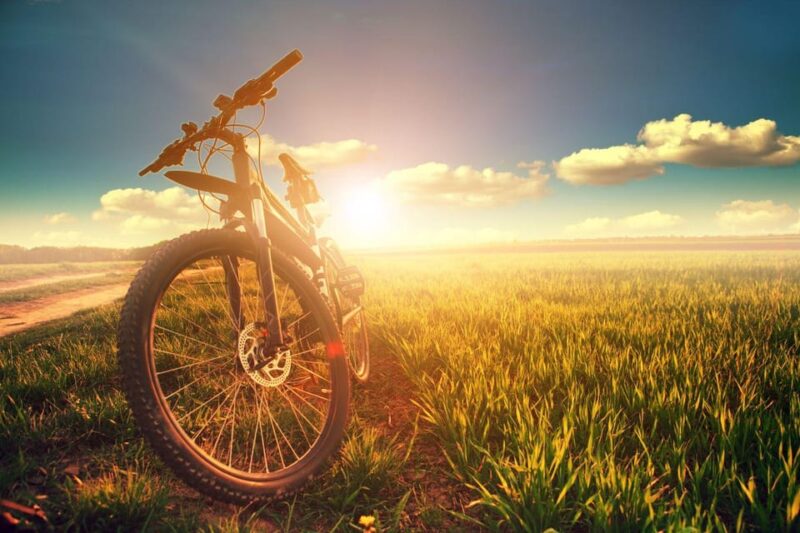 Bike & Wine in Budapest Region - Guided Gastro Tour - Meeting Point