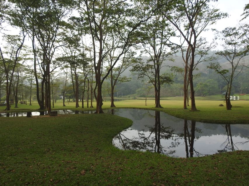 Bird Watching Day Tour - Pick up and Drop From the Hotel - Contact Information