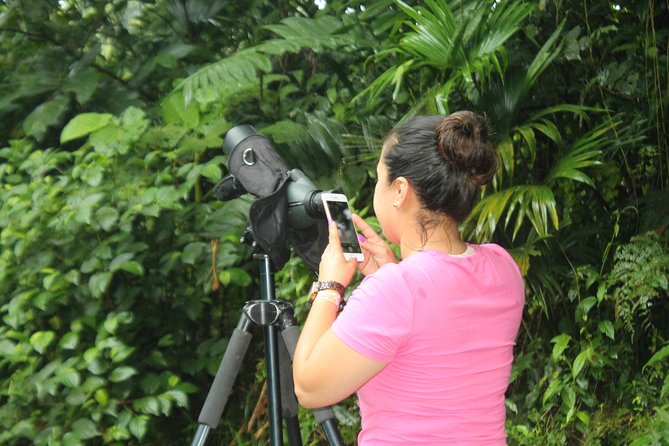 Birdwatching by the Lake Arenal - Tropical Birds of the Region