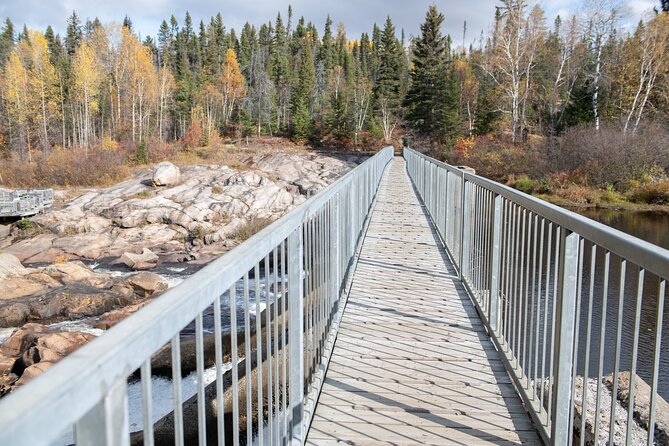 Black Bear Viewing and Walking at Oudoor Ctrs Canyon - Areas for Improvement