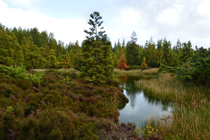 Black Mysteries Hiking Trail - Terceira Azores - Pricing and Booking Information