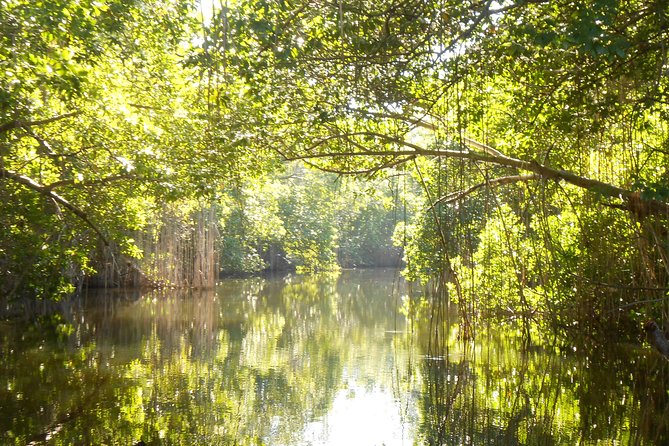 Black River Safari and YS Falls Tour With Lunch - Booking Details