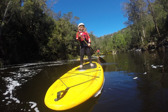 Blackwater Tubing Green Route Forest Adventure - Personalized Experience