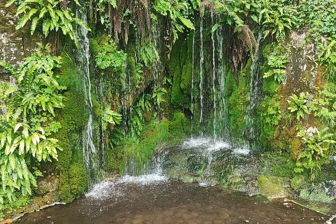 Blarney Castle Cork City and Jameson Distillery Semi Private Tour - Jameson Distillery Insights