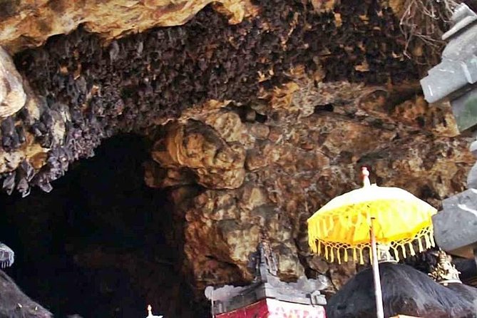 Blow Lagoon Bali Snorkeling and See Bali Bats Cave Temple - Cancellation and Refund Policy