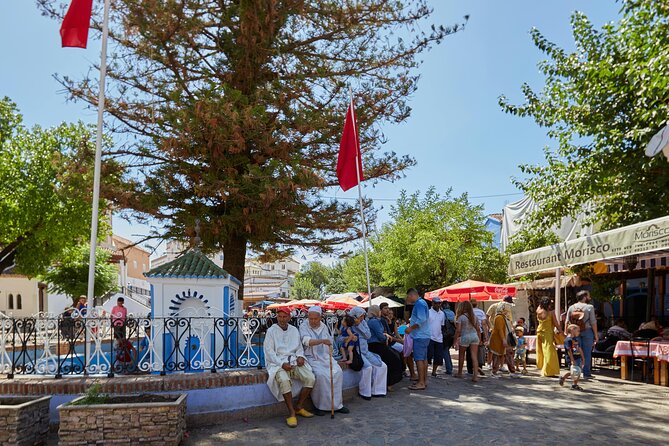 Blue Bliss & Waterfall Wonders: Chefchaouen & Akchour Day Escape - Traveler Testimonials and Satisfaction Ratings