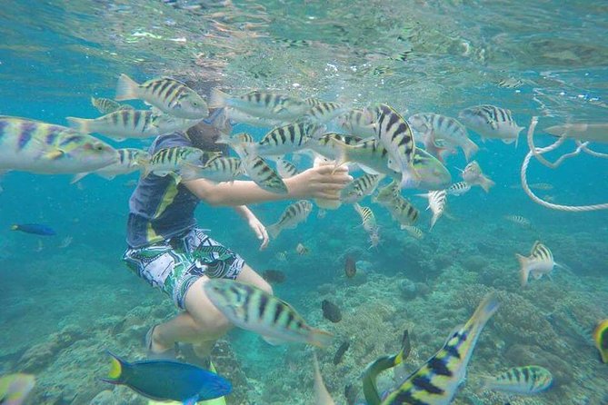 Blue Lagoon & Tanjung Jepun Snorkeling Private Tour - Important Tips for Tourists