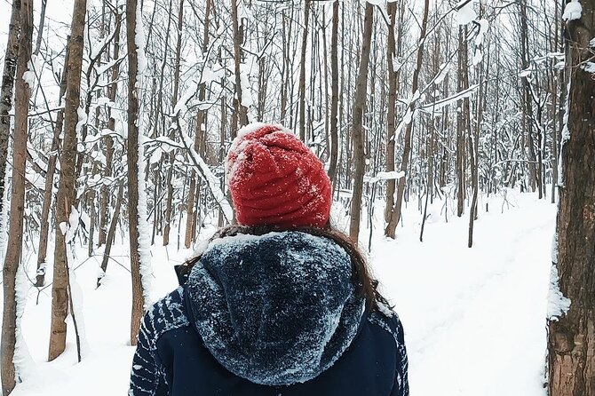 Blue Mountain and Scenic Caves of Collingwood - Snowshoeing on Manageable Trails