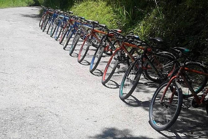 Blue Mountain Bicycle Tour From Runaway Bay - What to Bring