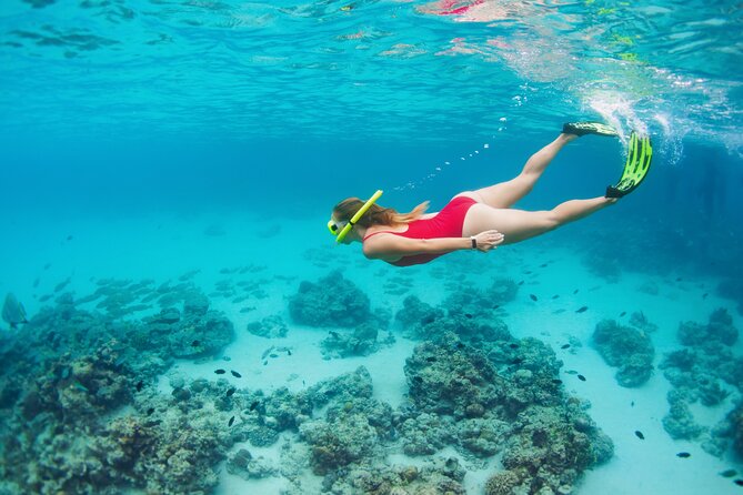 Boat Dive and Snorkeling Experience in Aqaba - Essential Preparation