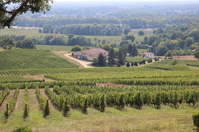 Bordeaux: Full Day Wine Tastings & Gourmet Lunch - Breathtaking Views and Memorable Moments