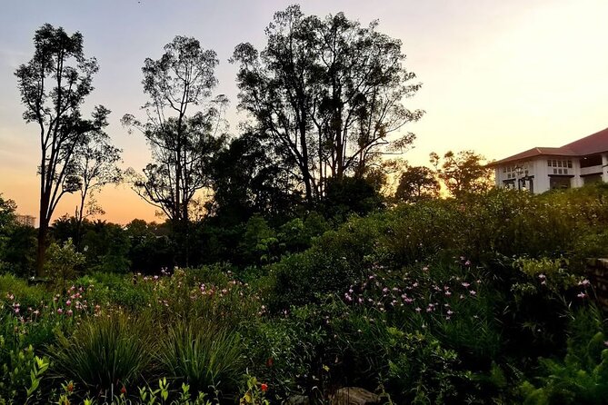 Botanic Gardens & Tiong Bahru Walking Tour With Breakfast - Traveler Reviews