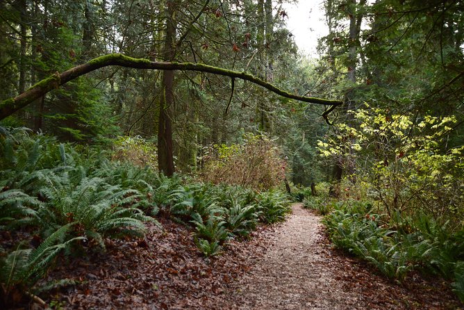 Bowen Island Ferry, Hike & Photography - Cancellation Policy