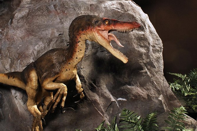 Branson Dinosaur Museum Admission Ticket - Nearby Attractions and Activities
