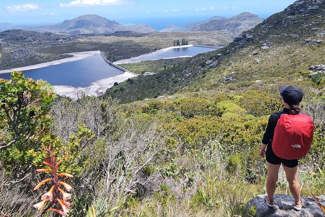 Breathtaking Table Mountain Guided Hike - Off the Beaten Track! - Customizable Meeting and Pickup Options